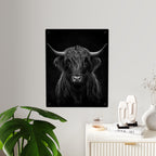 Panel decorativo de pared de acrílico con vaca de las Highlands en blanco y negro — Arte de pared rústico con estilo moderno, decoración para sala de estar, oficina o dormitorio, disponible en 11" x 14" y 16" x 20", envío incluido en el precio...