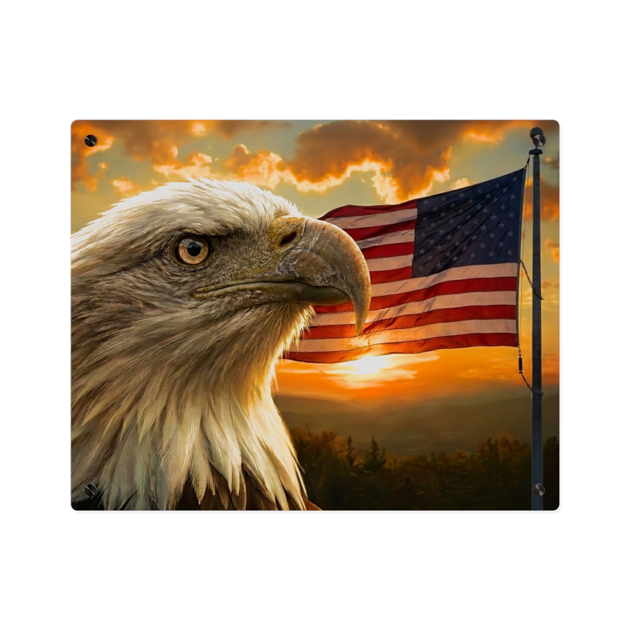 Patriotic Bald Eagle Acrylic Wall Art Panel — American Flag Decorative Art, Silver Mounting Buttons with Floating Effect, Available in 14"x11" and 20"x16", Shipping Included in the Price