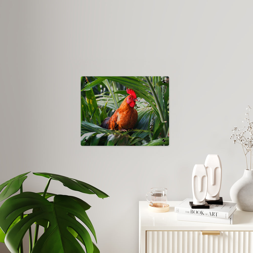 Rooster in Tropics Acrylic Wall Art Panel, Colorful Farm Bird Home Décor, Premium Glossy Acrylic Print, Available in 14x11 and 20x16, Shipping Included