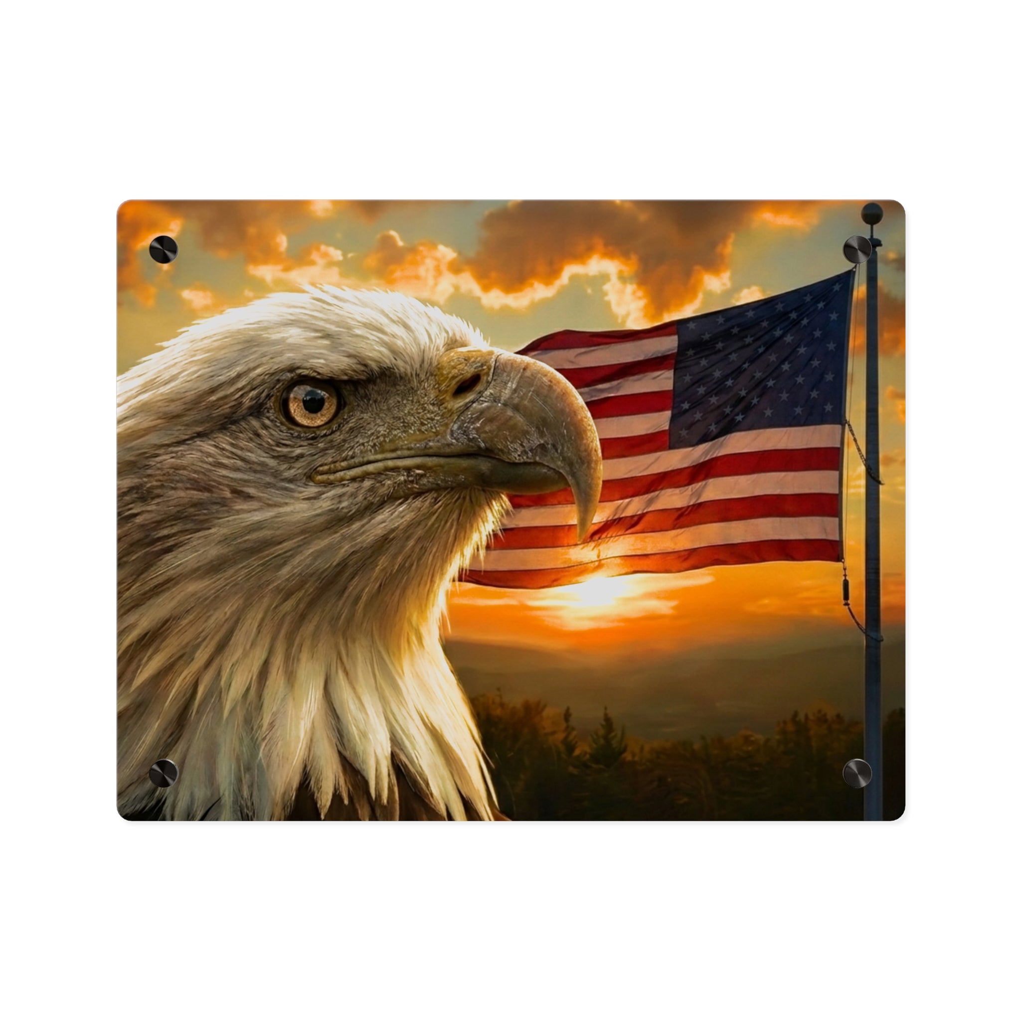 Patriotic Bald Eagle Acrylic Wall Art Panel — American Flag Decorative Art, Silver Mounting Buttons with Floating Effect, Available in 14"x11" and 20"x16", Shipping Included in the Price