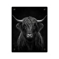 Panel decorativo de pared de acrílico con vaca de las Highlands en blanco y negro — Arte de pared rústico con estilo moderno, decoración para sala de estar, oficina o dormitorio, disponible en 11" x 14" y 16" x 20", envío incluido en el precio...