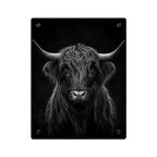 Panel decorativo de pared de acrílico con vaca de las Highlands en blanco y negro — Arte de pared rústico con estilo moderno, decoración para sala de estar, oficina o dormitorio, disponible en 11" x 14" y 16" x 20", envío incluido en el precio...