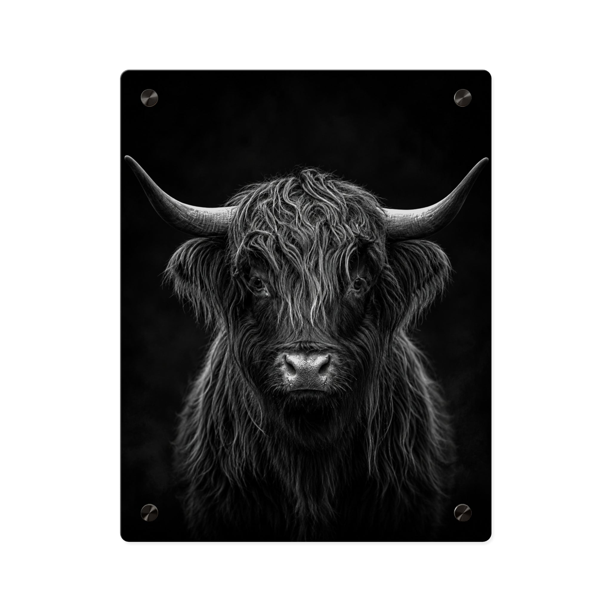 Black and White Highland Cow Acrylic Wall Art Panel — Rustic Wall Art with Modern Style, Decor for Living Room, Office or Bedroom, Available in 11" x 14" and 16" x 20", Shipping Included in the Price...