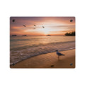 Sunset Seagull Beach Acrylic Wall Art Panel, Coastal Ocean Sunset Photography Décor, Premium Acrylic Print for Beach House, Available in 14x11 and 20x16, Shipping Included
