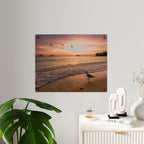 Sunset Seagull Beach Acrylic Wall Art Panel, Coastal Ocean Sunset Photography Décor, Premium Acrylic Print for Beach House, Available in 14x11 and 20x16, Shipping Included