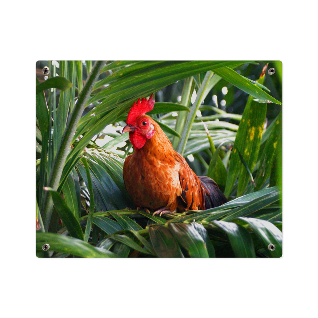 Rooster in Tropics Acrylic Wall Art Panel, Colorful Farm Bird Home Décor, Premium Glossy Acrylic Print, Available in 14x11 and 20x16, Shipping Included