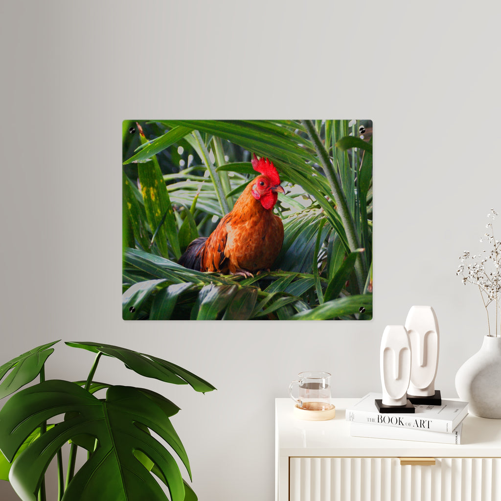 Rooster in Tropics Acrylic Wall Art Panel, Colorful Farm Bird Home Décor, Premium Glossy Acrylic Print, Available in 14x11 and 20x16, Shipping Included