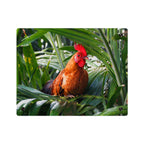 Rooster in Tropics Acrylic Wall Art Panel, Colorful Farm Bird Home Décor, Premium Glossy Acrylic Print, Available in 14x11 and 20x16, Shipping Included