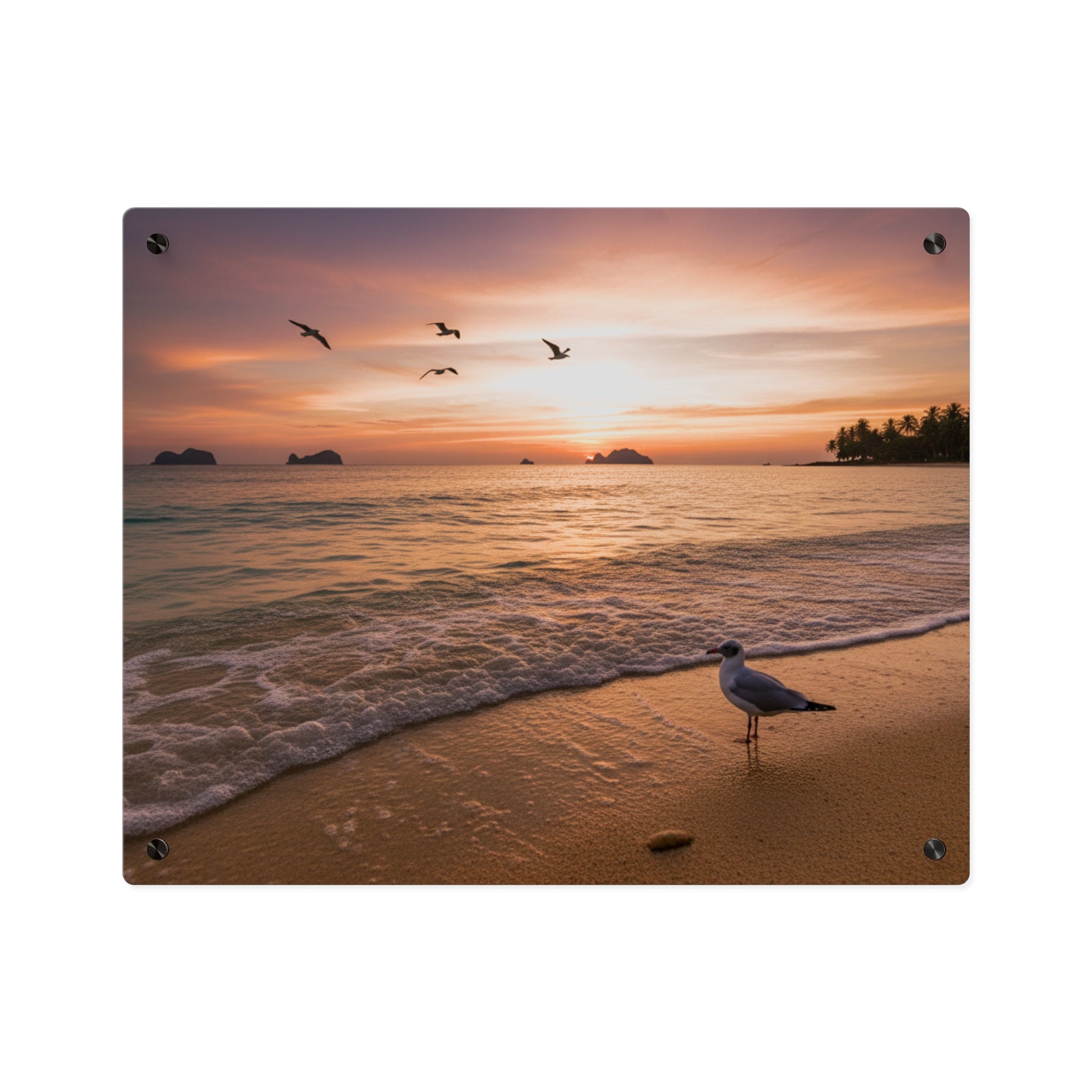Sunset Seagull Beach Acrylic Wall Art Panel, Coastal Ocean Sunset Photography Décor, Premium Acrylic Print for Beach House, Available in 14x11 and 20x16, Shipping Included